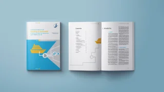 Leitfaden Mockup c-HELCOM